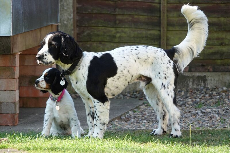 William and Elsie.JPG