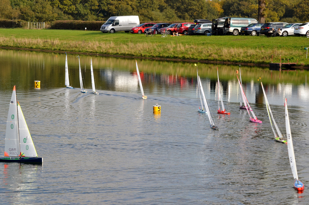 image by Sue Brown- click for larger version