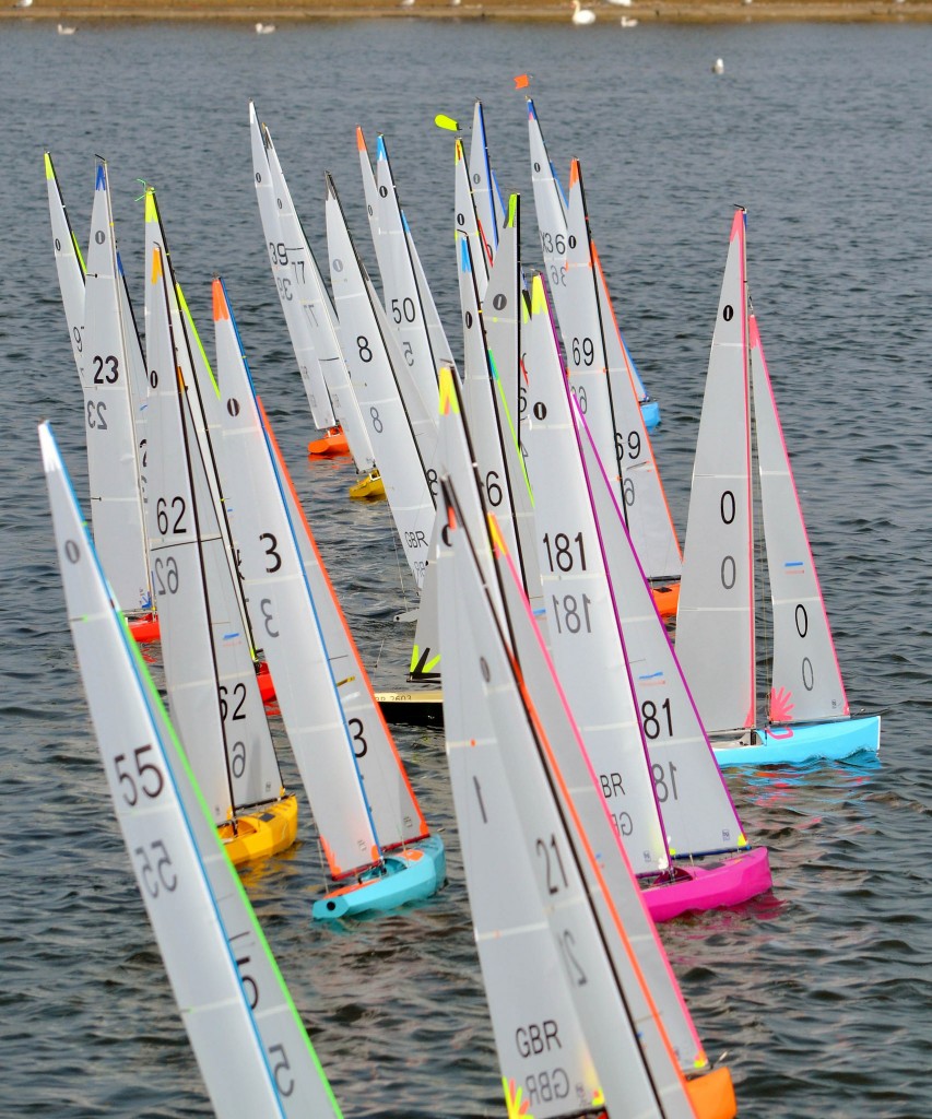 A tight Start - Sue Brown - click for larger version